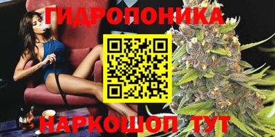 шишки Тулун