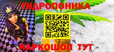 шишки Тулун