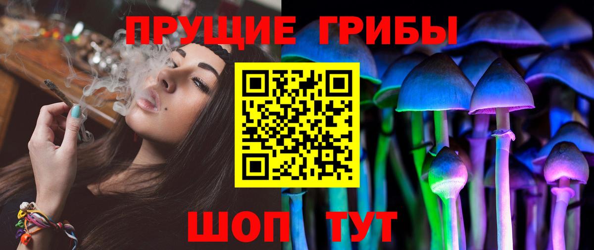 Асино  Псилоцибиновые грибы ЛСД  Галлюциногенные грибы прущие грибы  Вход с VPN 